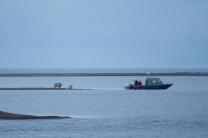 Paul Buzzard - boat and bears