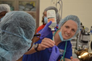 Summer Safari Vets 2