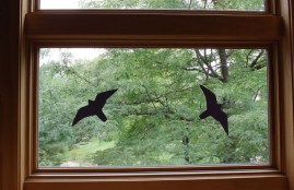 Photo by Jennie Miller