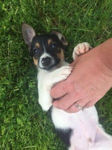 Photo by Kurt Schwarz