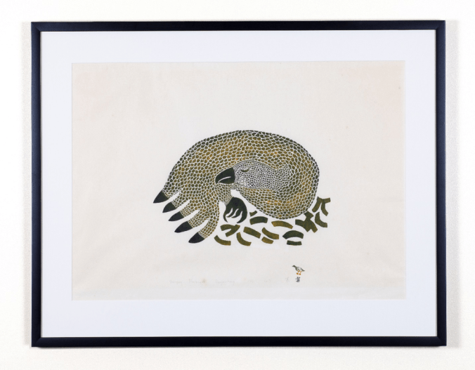 Sleeping Ptarmigan - Pangnirtung