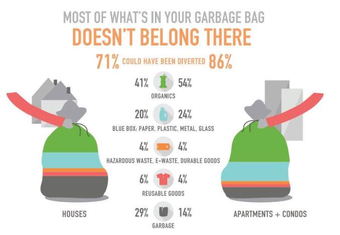 Image courtesy of the Toronto Environmental Alliance