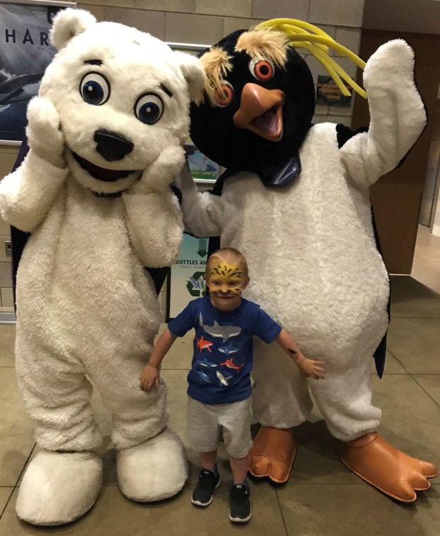 dreamnight picture.jpg