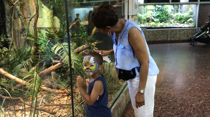 Screen Shot 2019-08-12 at 2.55.10 PM