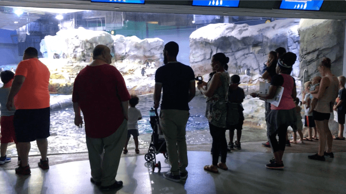 Screen Shot 2019-08-12 at 2.56.46 PM