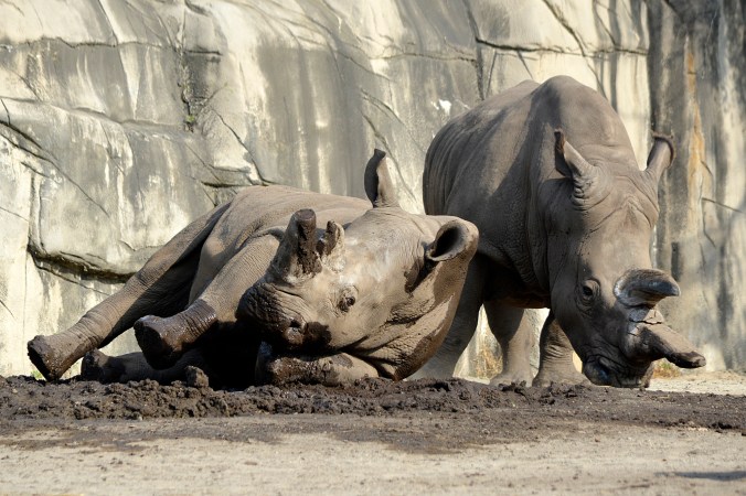 36624987404_82e5c805ae_k