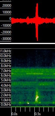 Boana calcarata call image