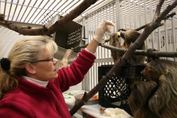 TX-Beth Johnson and Sloths