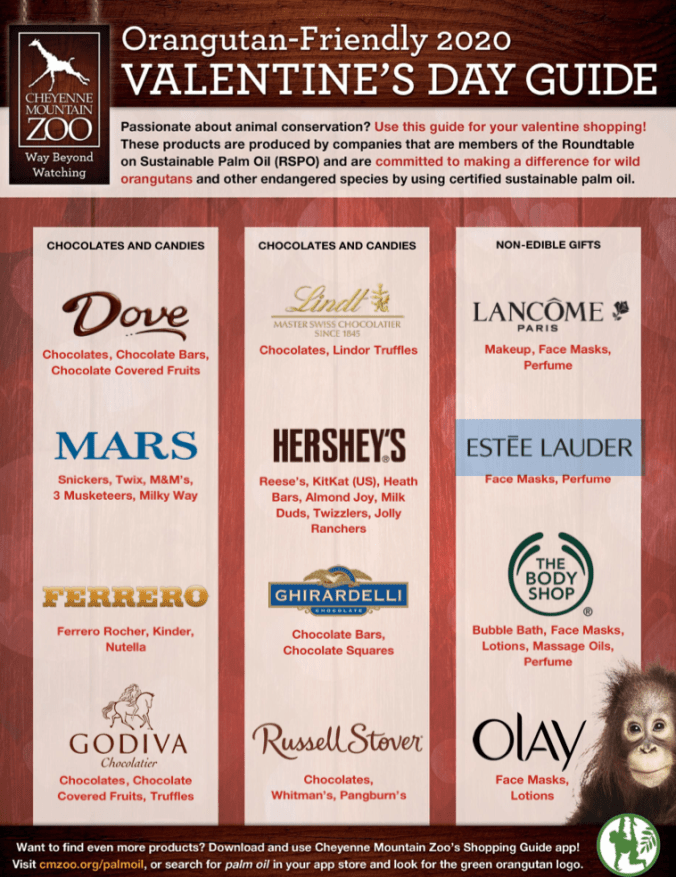 Screen Shot 2020-02-07 at 4.42.53 PM