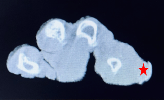 Screen Shot 2020-02-12 at 10.25.27 AM