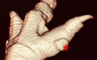 Screen Shot 2020-02-12 at 10.25.37 AM