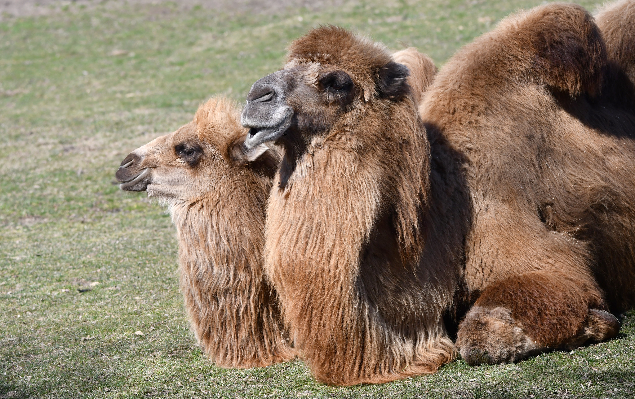 49664419377_28b6be47e6_k