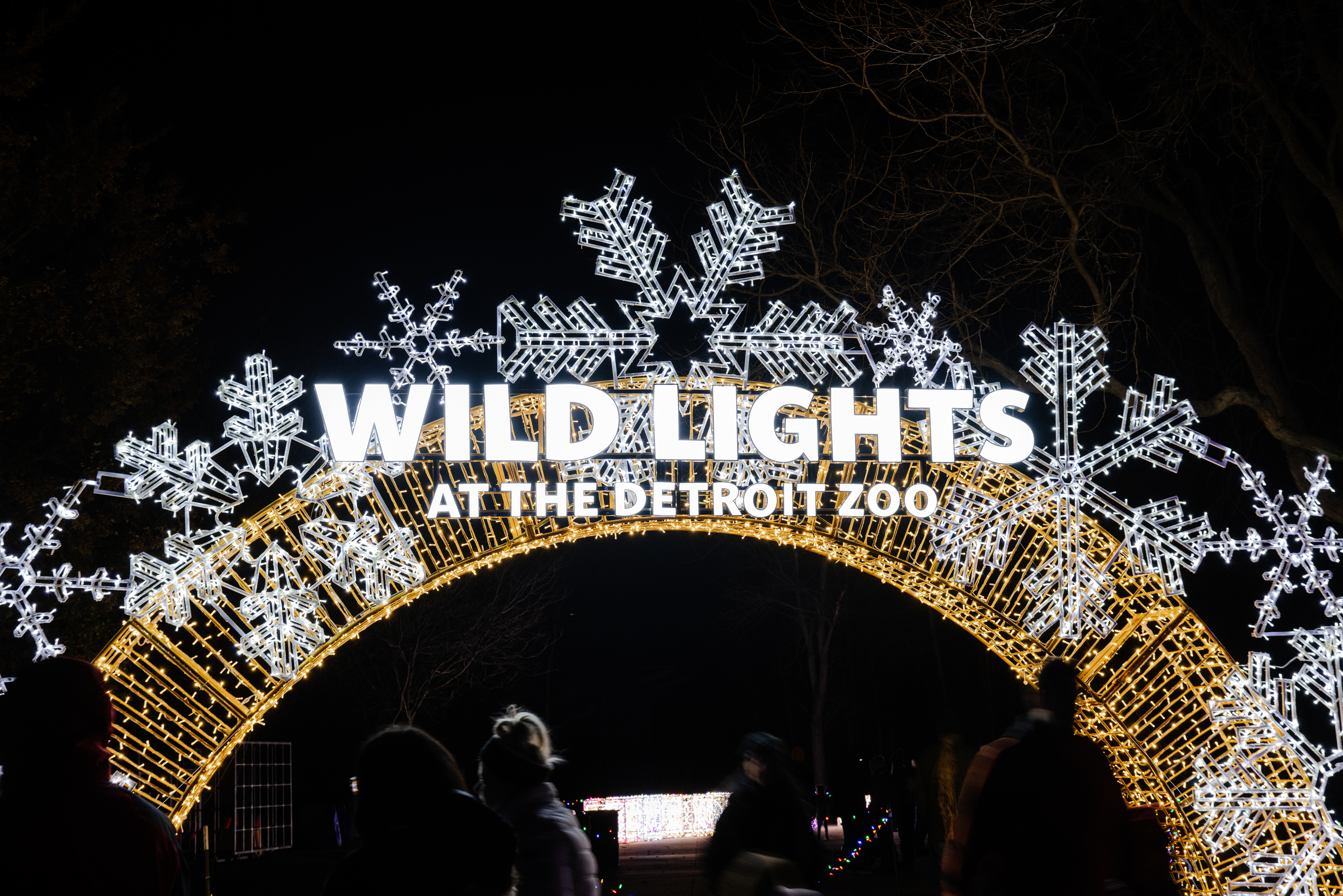 Five Reasons to Visit Wild Lights This Holiday Season